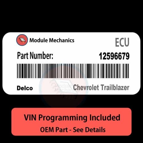 12596679 ECU - VIN PROGRAMMED | Chevrolet Trailblazer | ECM PCM BCM Engine Control Computer OEM